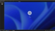 Installing Microsoft Windows 11 Pro leaked BETA on VMware