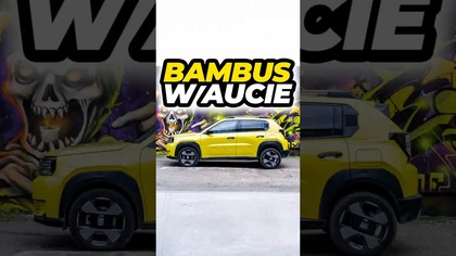 Co ukrywa Grande Panda