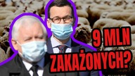 Naukowcy z UW: Będzie 9 mln z wirusem! KORONAFERIE od jutra? Tylko na grzyby bez maski! CZERWONO?