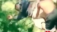 Wystarczył jeden strzał! Chudy gówniarz nokautuje wielkiego faceta w obronie kolegi!