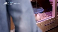 ANIMALPLANET - 28-07-2021 - Autopromocja, Reklama, Ident
