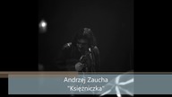 Andrzej Zaucha - Księżniczka (1975)
