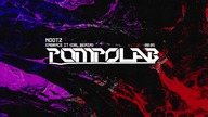 Ndotz - Embrace It (DBL Remix)
