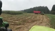 Niespodzianka w polu