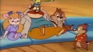 Chip 'n' Dale - Na antenie (Grey Fruit)