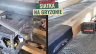 Siatka na gryzonie w domku szkieletowym.