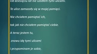 Dziesięć lat minęło...  (piosenka)