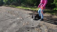 Boston terrier Lucky  piekielnik na smyczy