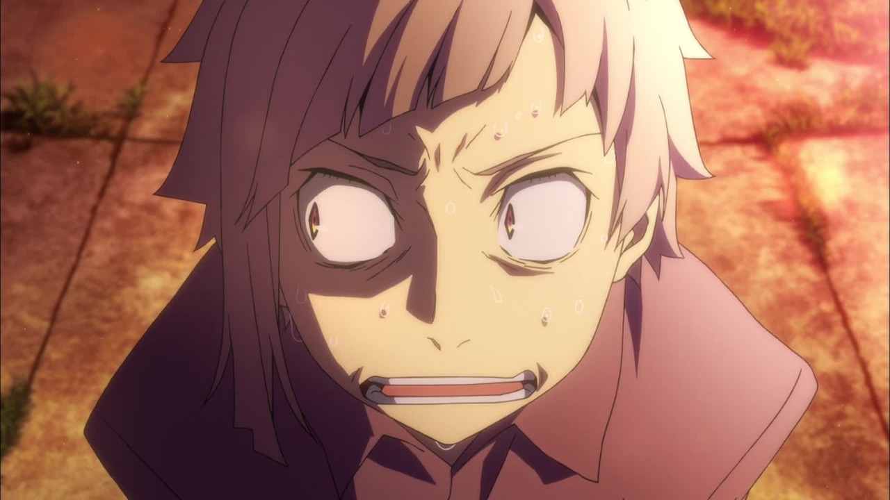 Bungou Stray Dogs Odc 1 Cda