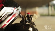 EPIC Freestyle Scooter Tricks