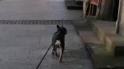 Nie pizga, nie wieje.