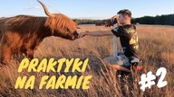 Relacja z praktyk - część 2