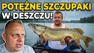 Szczupaki w deszczu czyli wędkarskie wczasy u @blazej727