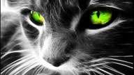 Techno 2012 Hands up Januar mix 25