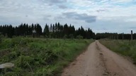 Płociczno na wyrębie.  8. 08. 2025.  Płociczno-Osiedle.