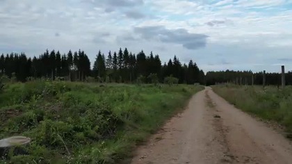 Płociczno na wyrębie.  8. 08. 2025.  Płociczno-Osiedle.