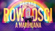Pytamy LGBT+ o marihuanę.  Politycy, Drag Queens, emeryci, gwiazdy...  Co oni wiedzą? | Sonda uliczna