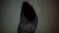 B&oacute;br*-)-*