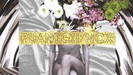 Puanecki / Nox - Green Valleys (ft. MMG)