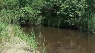 Ujście Rzeki Redy do Jeziora Orle 