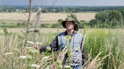 Aleja martwych drzew