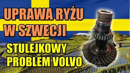 CZY W SZWECJI ROŚNIE RYŻ ? SŁABY WAŁEK I PROBLEM Z TULEJKĄ VOLVO XC70 III