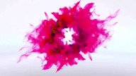 CZARNUSZKA SIEWNA wspomoże Twój organizm! Sprawdź jakie ma właściwości (olej z czarnuszki)