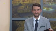 Jerzy Połomski - Kwiaty Zakwitają W Łazienkach