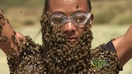 Fear Factor S07E06.