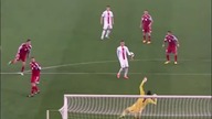 POLSKA - PIĘKNE GOLE Z OSTATNICH LAT! 
