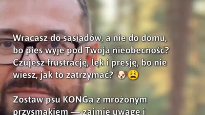 Jak zminimalizować stres psa podczas samotności?  
#Psy #SamotnośćPsów #ZabawaDlaPsów
