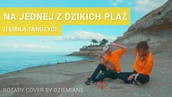 Rotary - Lubiła Tańczyć  (Na jednej z dzikich plaż cover by Dziemians)