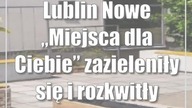 Lublin: Nowe Miejsca dla Ciebie zazieleniły się i rozkwitły