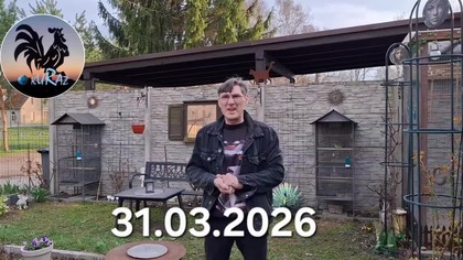 Kury w kropki, kanarki i naprawiony zegar * 31. 03. 2026