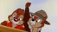 Chip i Dale Brygada RR odc. 34 Praca z fizyki