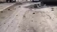 Bucza Bucha!!! Elitarny Pułk Kadirovsky i cały sprzęt - użyźniają naszą ziemię.