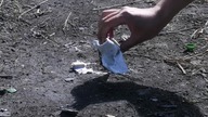 EXPERIMENT Fidget Spinner & Smoke Bomb