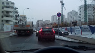 Spotkanie dwóch samców alfa