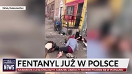 N.F.Z. BANKRUTUJE oraz PRAWDZIWE ZOMBIE