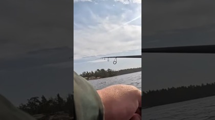 Jesteśmy w szczupakowym raju! #wędkarstwo