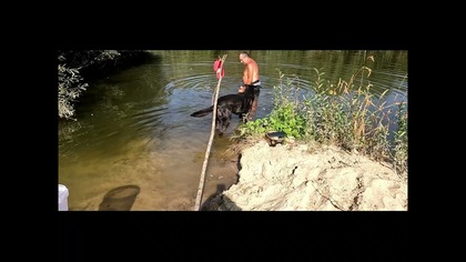 WRZESIEŃ RYBY KĄPIEL