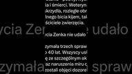 Ukradli strusia #subskrybuj #news