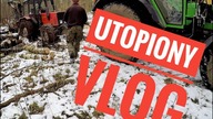 Utopiony VLOG! (#5) || Wiosna - Okiem ZULa