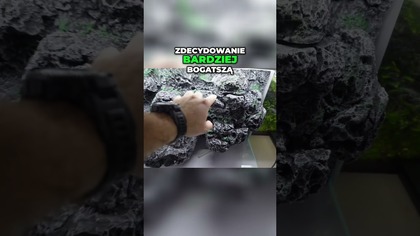 Gotowe akwarpaludaria - prezentacja wodospadów 