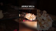 On tu jadł ślimaki?!  Całość #urbex #opuszczone #shorts