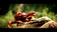 crab rave 10 hours