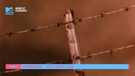 Jamiroquai - Too Young To Die (MTV Classic UK)