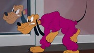 Pluto - Sweter dla Pluta (1948)