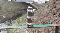 TOTEM NIESMIERTELNOSCI