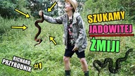 ŁAPIEMY JADOWITĄ ŻMIJE !!!  Richard Przyrodnik 1
